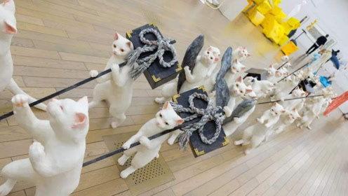 娱乐吃瓜君辛巴,娱乐吃瓜界的风云人物